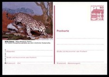 Ozelot. Postkarte. BRD 1986