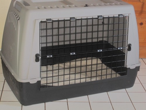 Hundebox für große hunde - für,