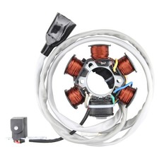 Lichtmaschine Stator