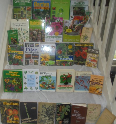 Bücherpaket konvolut - 30,