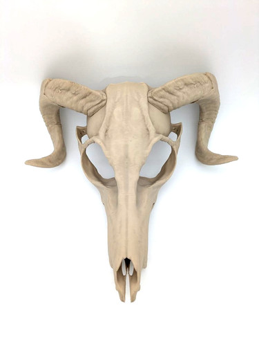 Knochen weißer wendigo - weißer,