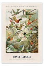 Poster What Nature is, is Visible on its Surface - Ernst Haeckel