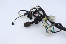 Elektrischer Kabelbaum DAELIM