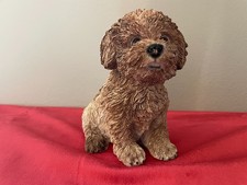 Bichon Frise Farbenfroher