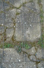 2 Leitern Leiter String Regal