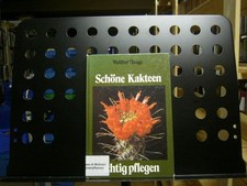 Schöne Kakteen richtig