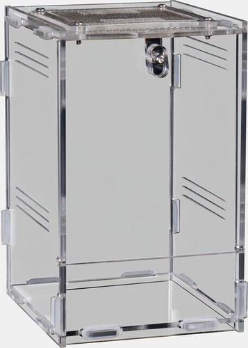 Repto terra 12x10x17cm - repto,
