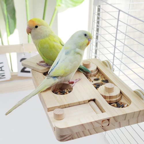 Vogel-Futterbox-Spielzeug