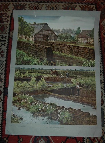 Altes schulwandbild - altes,