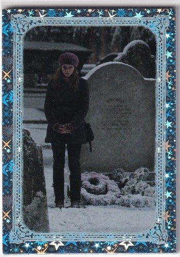 Panini harry potter evolution - panini,