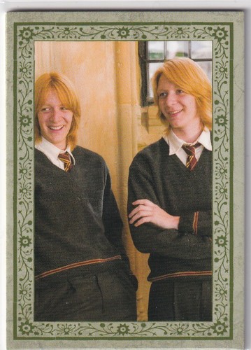Panini harry potter evolution - panini,