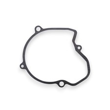 Dichtung Lichtmaschine für