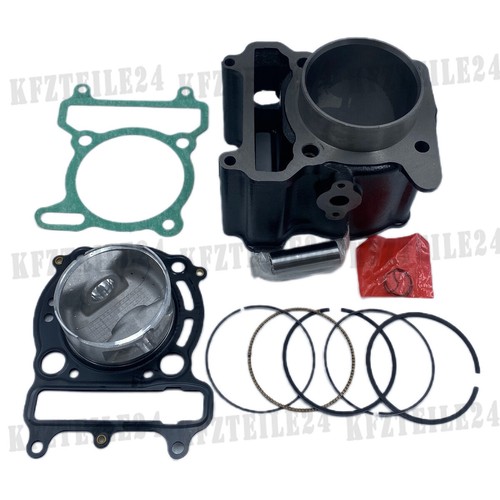 Cylinder block piston gasket - cylinder,