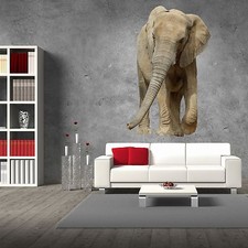 XXL Wallprint Elefant Realbild