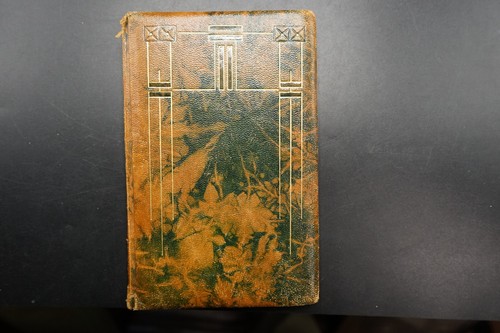 Poesiealbum alt 1908