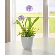 Kunstpflanze künstliche