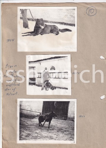 Original fotos militär - fotos,
