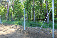 50 Meter Knotengeflecht 130/18/15 Wildgatter Wildzaun Forstzaun Schafzaun Zaun