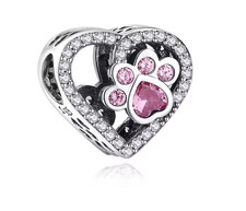 Charms Anhänger für Pandora