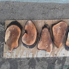 Ovale Baumscheibe, Holzscheibe, Walnuss Nussbaum Ca. 28/40x 4cm  Wanduhr Basteln