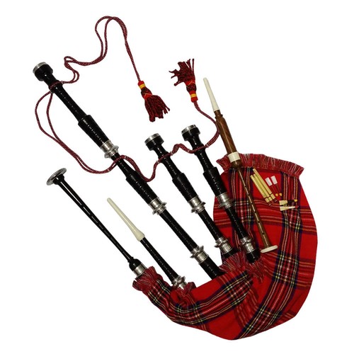 Scottish great highland - ,