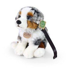 Australian shepherd cm - australian, h=21
