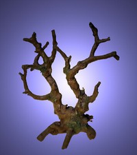 1A Aquarium Deko 🐟