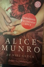 Zu viel Glück. Erzählungen