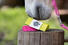 fellschön®  Pferdebürste