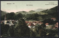 AK Schönau / Schwarzwald