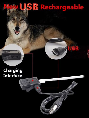 Pet led illuminated lights - led,
