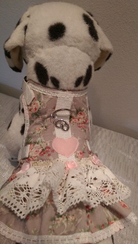 Hundegeschirr softgeschirr - hundegeschirr, xs