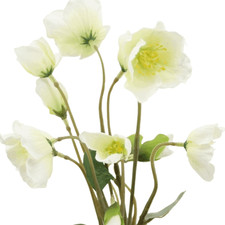 künstlicher Christrosen Strauß weiß 30cm Kunstblumen Weihnachtsdeko