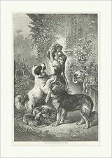 Hausfreundschaft Garten Tiere Hunde Welpen Specht Katze Hut Holzstich E 7817