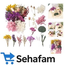 Vielseitiges Trockenblumen