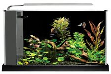 Fluval Spec 19L schwarz Schreibtisch Glas Aquarium LED - Filter & Licht enthalten