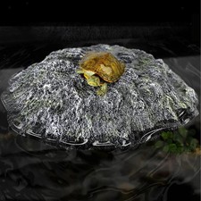 Schildkröten-Aquarium-Dekorat