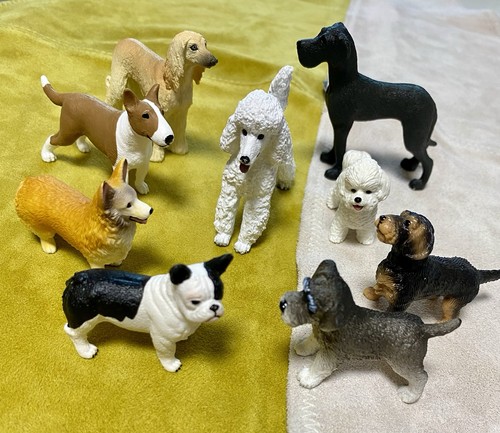 Schleich 9er set pudel mit - set,