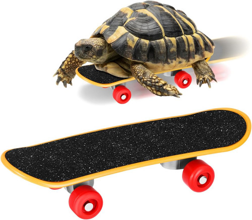 Mini skateboard für reptilien - mini-skateboard,