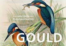 Postkarten-Set John Gould: 18 Kunstpostkarten aus hochwe... | Buch | Zustand gut