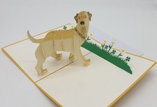 Lustige Pop-Up-Karte mit