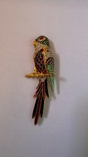 Große Papagei Brosche –