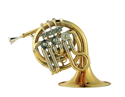 Michael taschenhorn pfh - michael, pfh-500