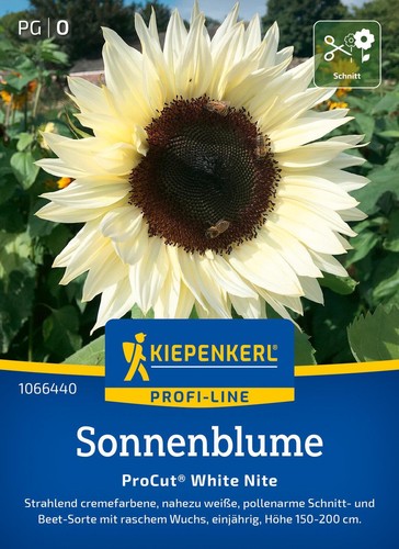 Kiepenkerl blumensamen - kiepenkerl,
