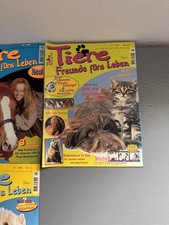 Nostalgie-Set: Wendy, Lissy &