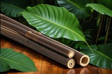 Bambusrohr schwarz -