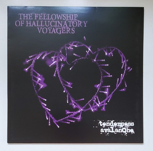 Fellowship hallucinatory - fellowship, of