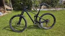 Canyon strive 0 - cf, (2019)