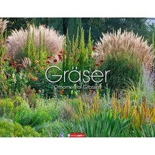 Weingarten Monats-Wandkalender Gräser 2026, 1 St.