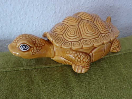 Schildkröte deckeldose - schildkröte,,